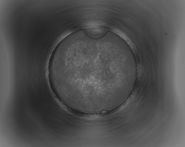 X0000100471042200806271137