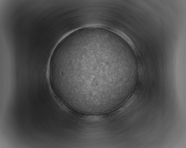 X0000100471044200806271137