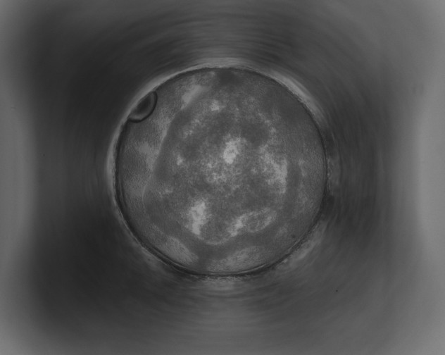 X0000100471046200806271137