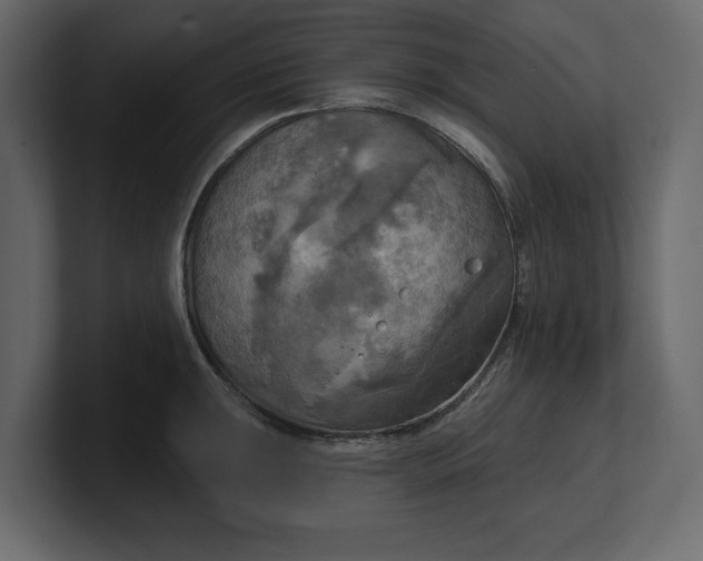 X0000100471047200806271137