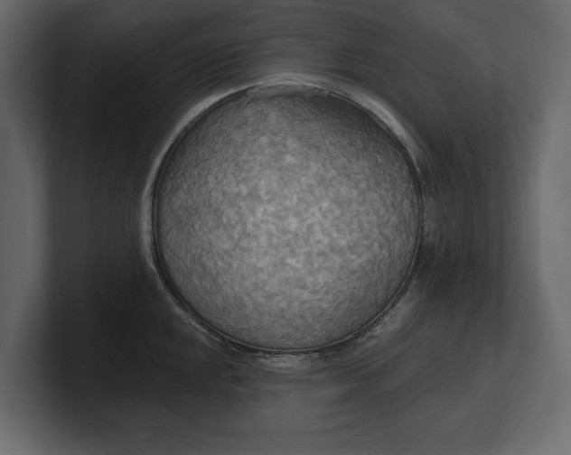 X0000100471048200806271137