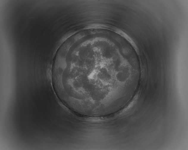 X0000100471049200806271137