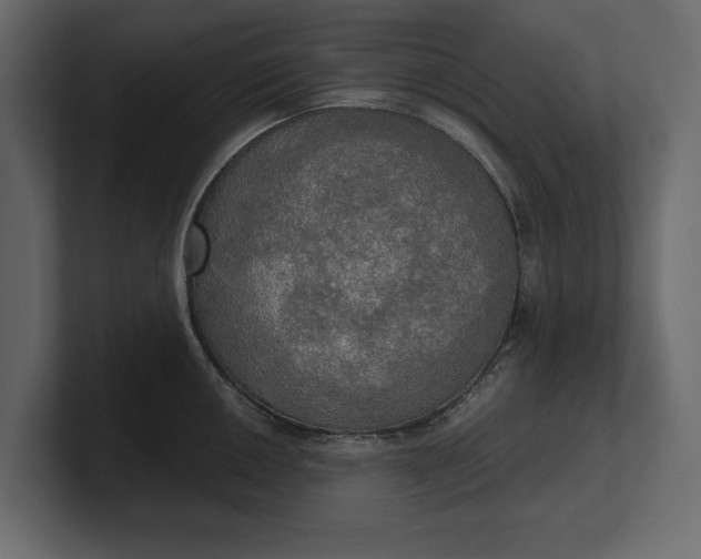 X0000100471050200806271138