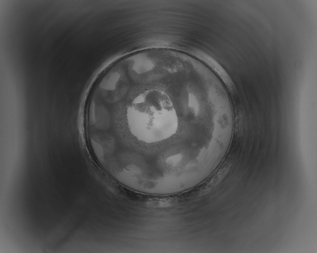 X0000100471051200806271138