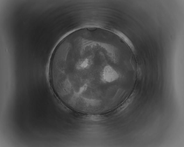 X0000100471052200806271138