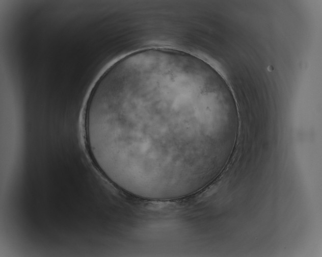 X0000100471056200806271138