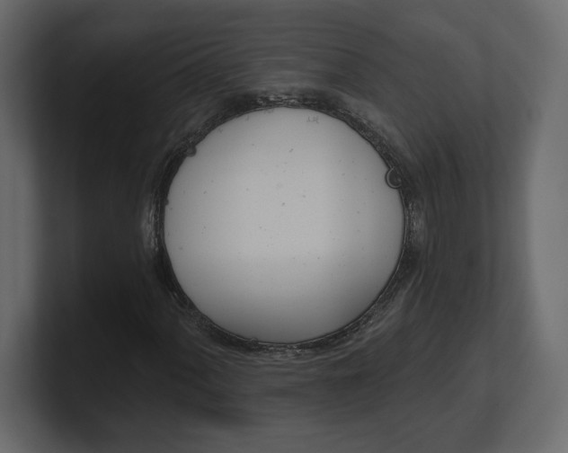 X0000100471060200806271137