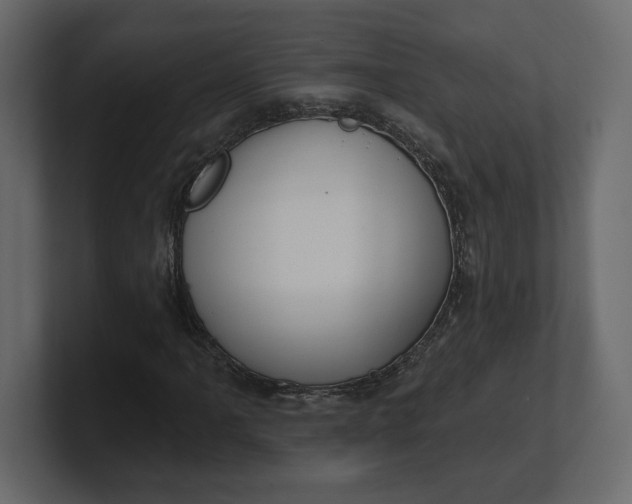 X0000100471061200806271137