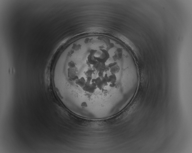 X0000100471067200806271137