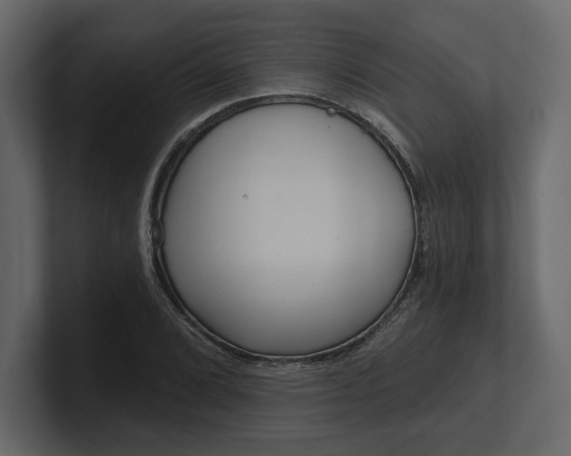 X0000100471072200806271137