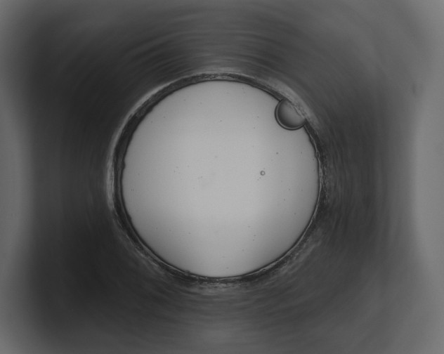 X0000100471076200806271137