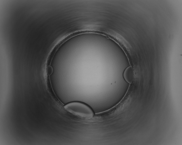 X0000100471077200806271137