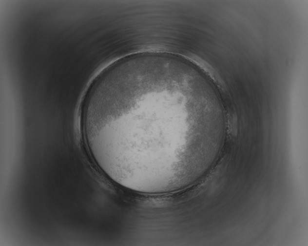 X0000100471078200806271137