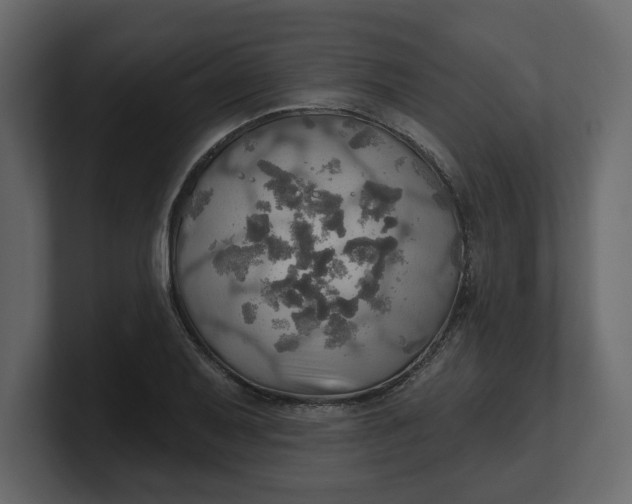 X0000100471079200806271137