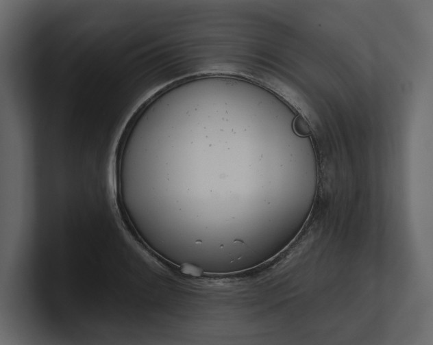 X0000100471084200806271137