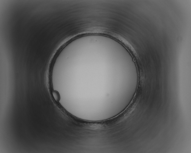 X0000100471085200806271137