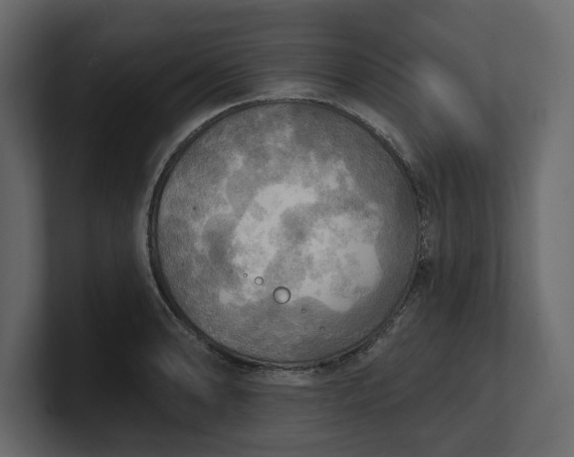 X0000100471086200806271137