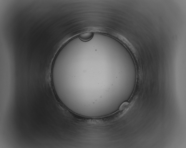 X0000100471089200806271137