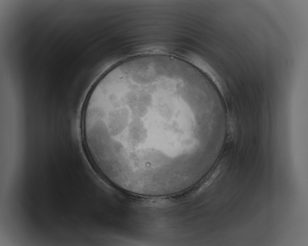 X0000100471090200806271137