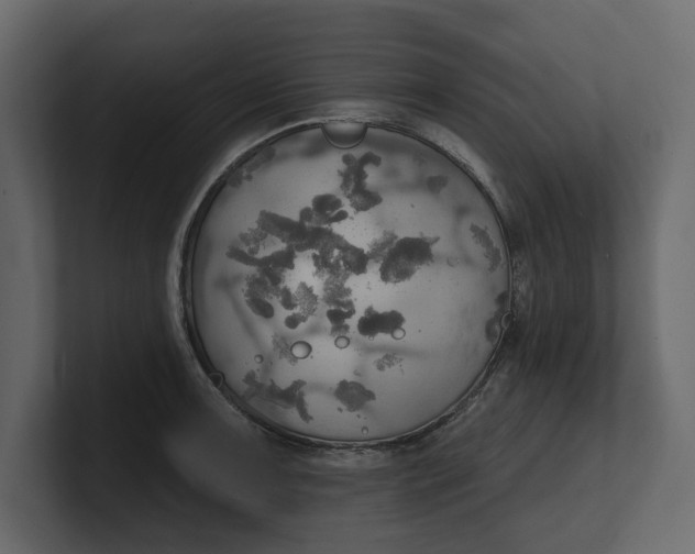 X0000100471091200806271137