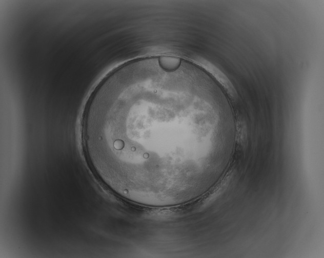 X0000100471094200806271136