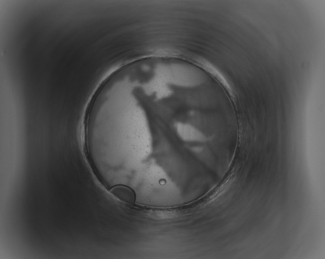 X0000100471095200806271136