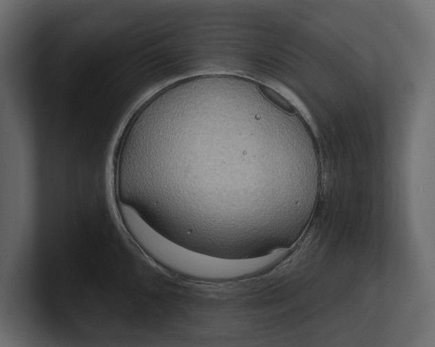 X0000100471096200806271136