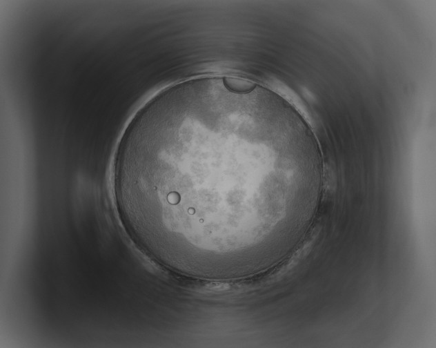 X0000100471098200806271136