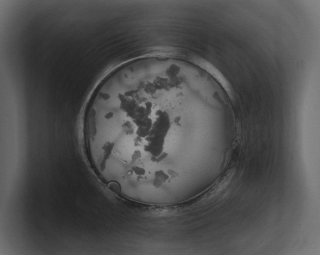 X0000100471099200806271136