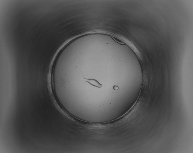 X0000100471100200806271136