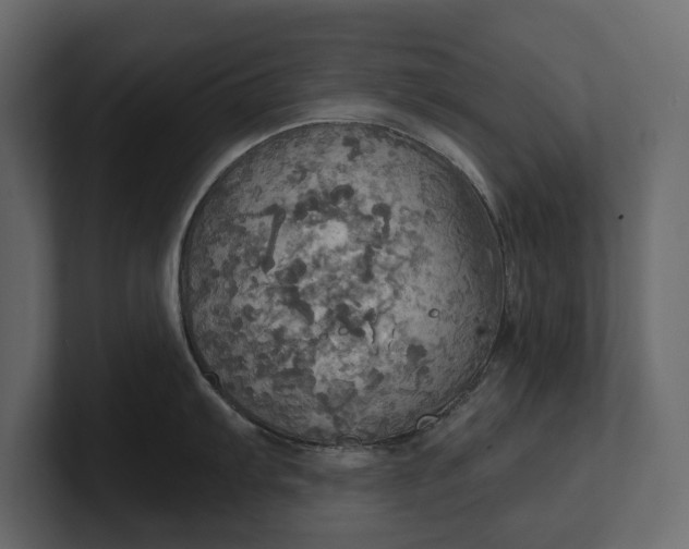 X0000100471103200806271136