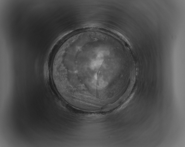 X0000100471117200806271136