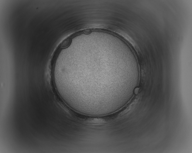 X0000100471119200806271136