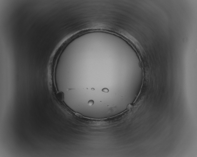 X0000100471120200806271136