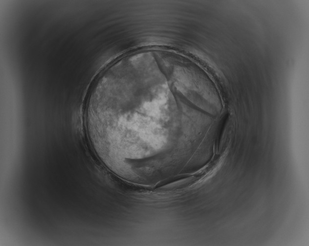 X0000100471121200806271136