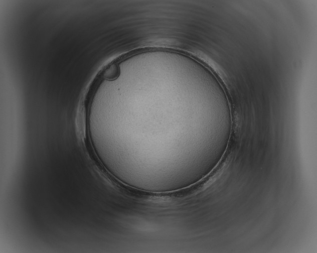 X0000100471123200806271136