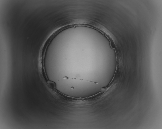 X0000100471124200806271136