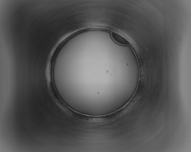 X0000100471128200806271136