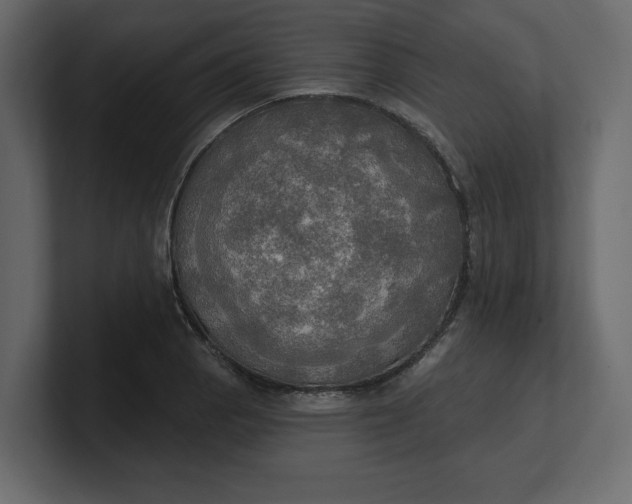 X0000100471129200806271136