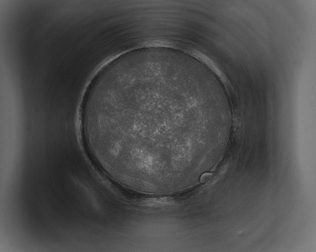 X0000100471133200806271136