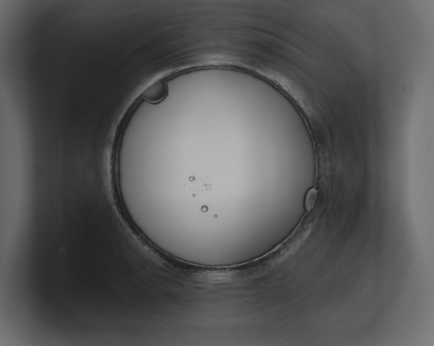 X0000100471134200806271136