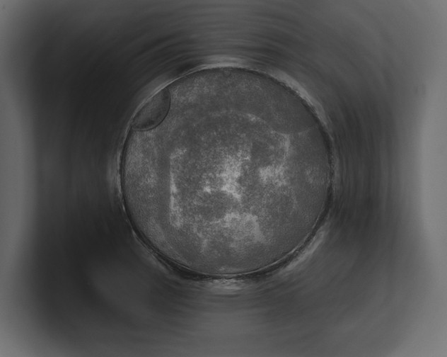 X0000100471137200806271136