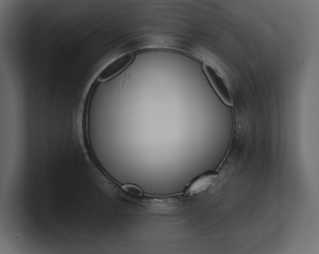 X0000100471138200806271136