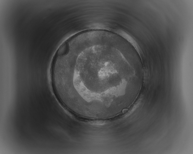 X0000100471141200806271136