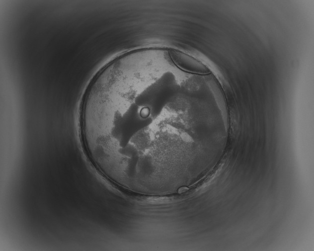 X0000100471142200806271136