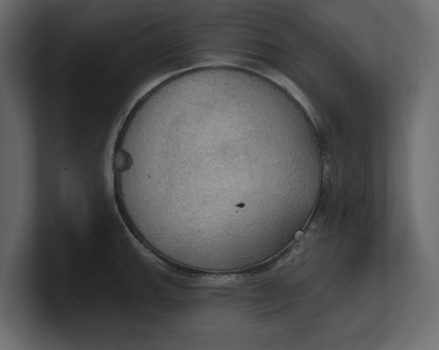 X0000100471143200806271136