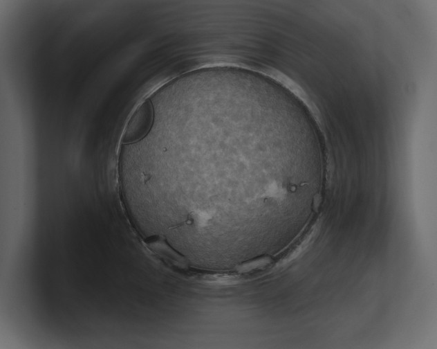 X0000100471145200806271136