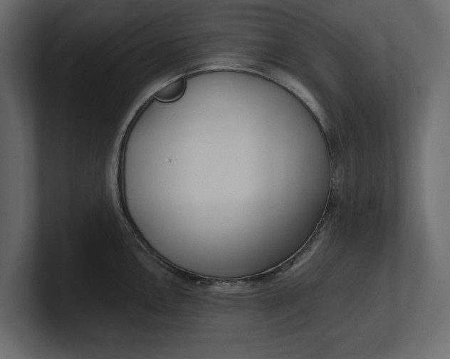 X0000100471146200806271136