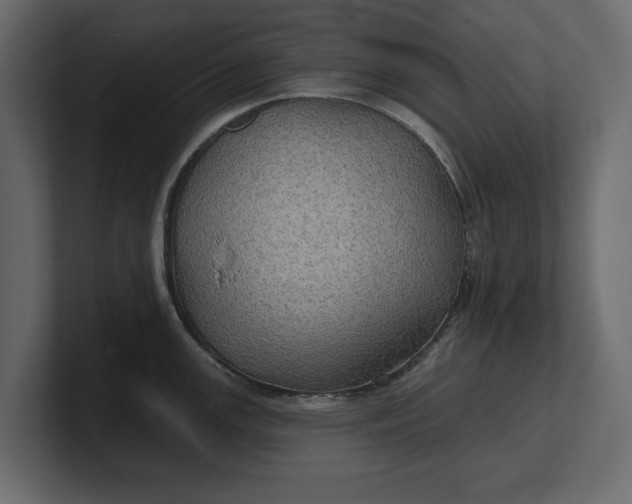 X0000100471147200806271136