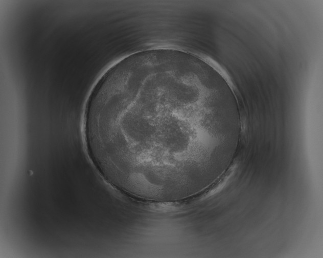 X0000100471149200806271136